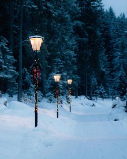 Sissi´s green Chalets - 7