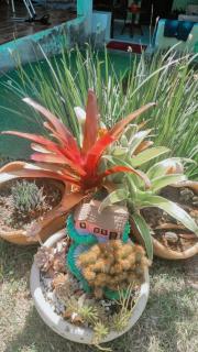 Quarto privativo em Araruama - 9