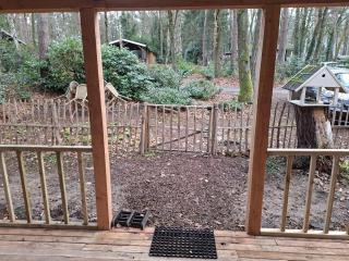 chalet bosrust nr 38 - 7