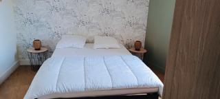 Appartement cosy 2 pieces hyper centre ville Place de la Breche - 1