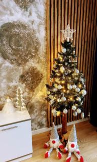 Grunwaldzka 65 Elbląg - 9