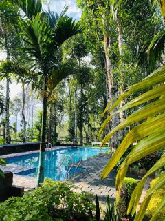 Happy Feet Wayanad - 7