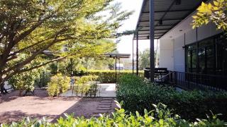 กัสเกรซ โฮมสเตย์ - 3