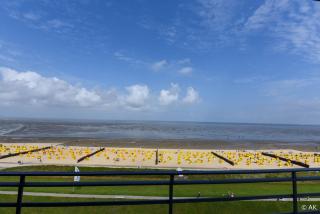 Haus Pacific Pacific FeWo 81 - 9