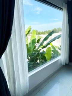 T-Homestay Bình minh xanh - 2