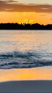 Nautical Nook Maldives - 7