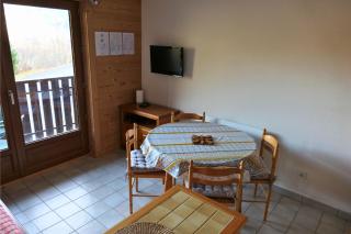 Studio au pied des pistes - Vue montagne - 1