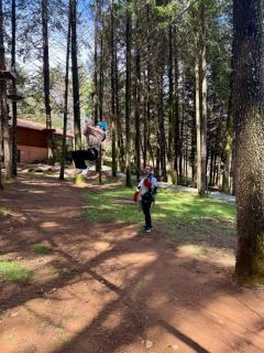 Parque Biologico de Vinhais - 1