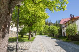 Ferienwohnung Treml - Bayerisch Eisenstein - 8