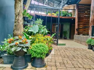 Summer Club2 Hostel and Cafe Aonang - 1