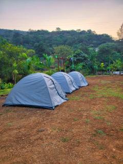 The Meadows Resort - 3