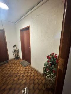 Nouveau ! Sublime T2 Ajaccio - 3