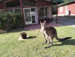 Halls Gap Valley Lodges - 7