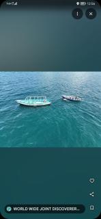 World Wide Joint Discoverers - 0