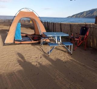 World Wide Joint Discoverers - 5