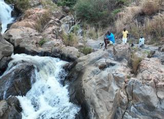 World Wide Joint Discoverers - 4