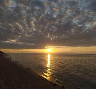 World Wide Joint Discoverers - 2