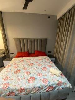 The Arc supernova - 8