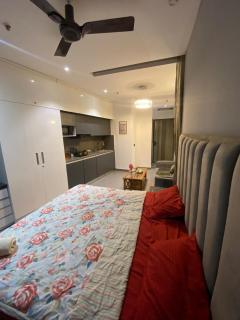 The Arc supernova - 1