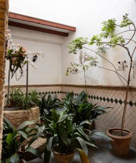 Alojamiento Casa Aurora - 3