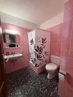 Appart cozy avec grand balcon - 1