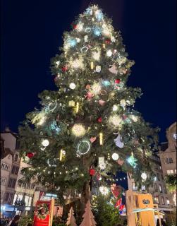 Ferienwohnung Naturpur - 0