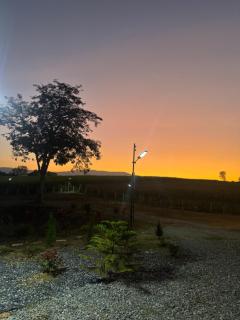 บ้านไร่สกายดาว - 1