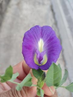 14 Hostel DMK airport - 5