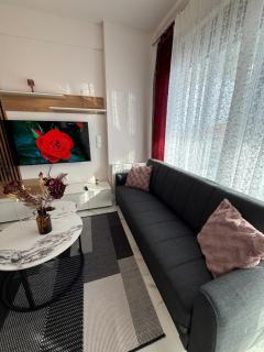 Coco mini Trikala - 7