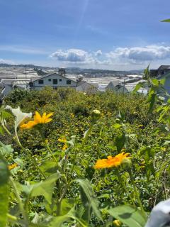 Thung lũng đèn - 7