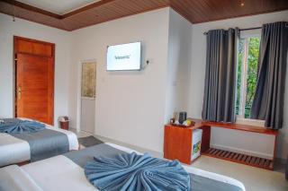 Ella Mountain Bliss - 7