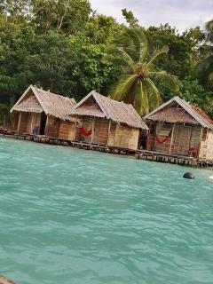 Blacktive Homestay - 6