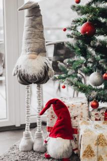 Forest Cliff Славське - 1