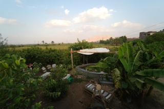 Bedouin Lodge Luxor - 8