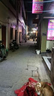 Maa mukteshwari home stay - 8