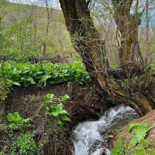 Beautiful resort - 2