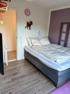 Modern Spacious City Family Retreat Garden - 5