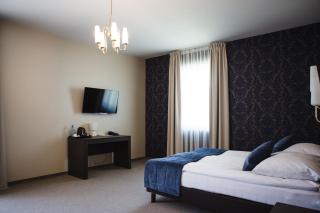 Hotel Cztery Pory Roku BUSINESS & SPA - 1