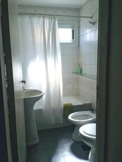 Lapacho Departamento Centrico - 4