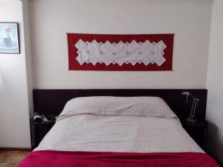 Lapacho Departamento Centrico - 2