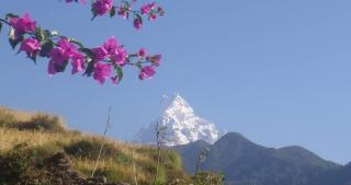 Kimche Guest House - 2