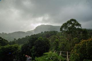 Ella Mountain Bliss - 2