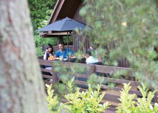 Exmoor Gate Lodges - Chipstable - 4