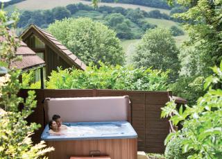 Exmoor Gate Lodges - Chipstable - 2