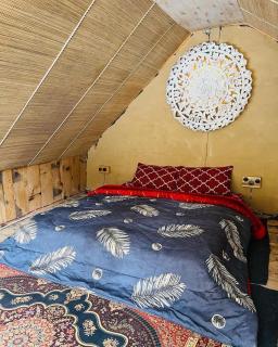 Mudhouse Shangarh - 4