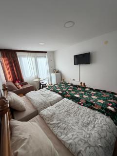 Villa Srma OHRİD - 7