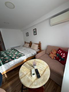 Villa Srma OHRİD - 6