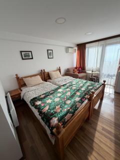 Villa Srma OHRİD - 4