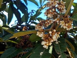Ferme d'hôtes Safi - 5