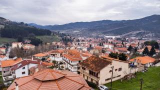 Strix Aluco Kalavryta - 0